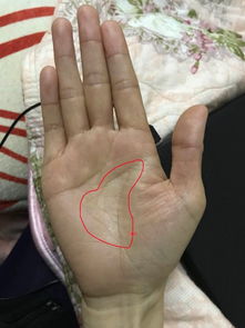 1）断裂与破碎：不是坏事，而是成长的痕迹