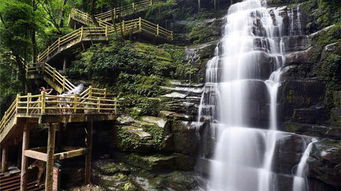 第二天：被大熊猫萌化了心， 这才是真正的流量密码