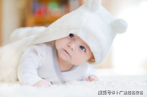2022年诞生的宝宝取名：季节与命途的交织