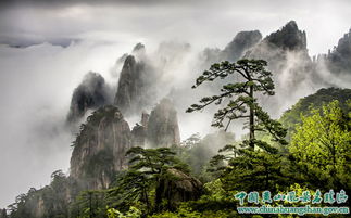 “坑”你一下