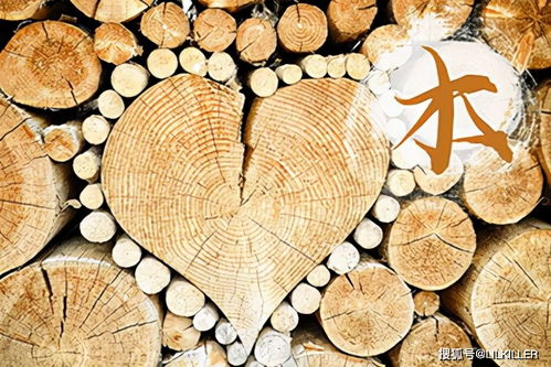 松柏木命女性在七月出生的运势如何，哪个月份的命最好？
