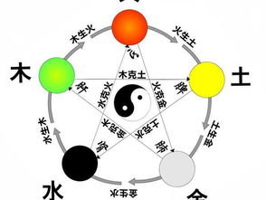 取名提议