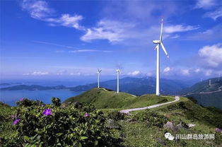 沙堤渔港的烟火气