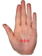 双线并行型