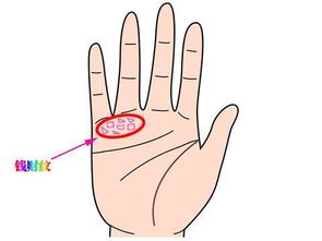 双富贵纹掌，手握三纹，你可知命运如何？