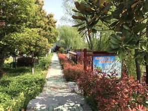 五、名字的魔力：如何给旅行地起个好名字
