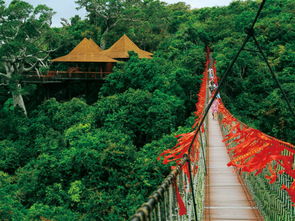 交通：坑爹VS心累