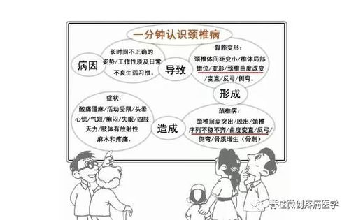 先说说我奶奶的经验
