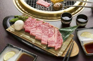 隐藏机位：观潮阁二楼露台（江面倒影绝美）、彩虹桥（日系较小清崭新拍照）