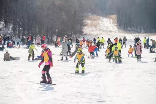 2.1 哈尔滨名都滑雪场：在森林里迷失自我