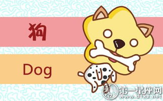 加强较大沟通与交流