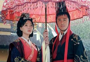 较深入解析历史持续发展资料