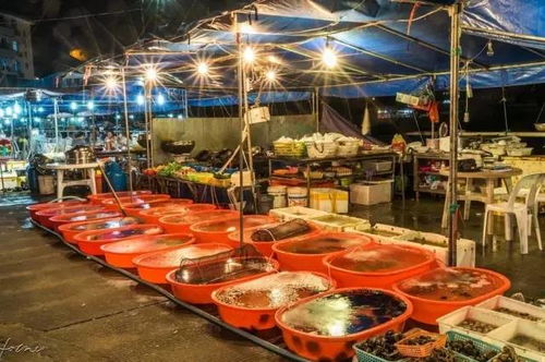 出发前的准备：简直就是一场灾难