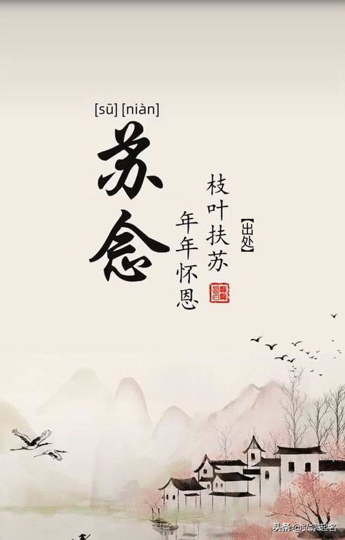 一、前言——为何要给女孩起个“诗意+儒雅”的名字？
