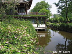 园内景点大揭秘