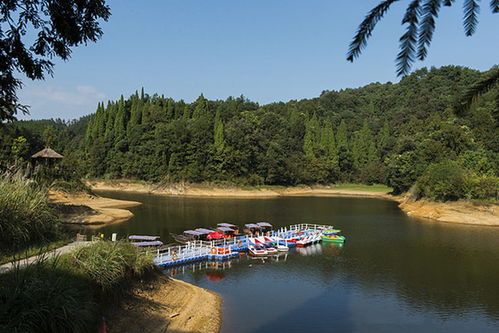 千岛湖中心湖区，湖光山色尽收眼底