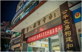 第一章：东兴的潮汐与市场环境