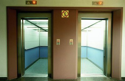 植物遮挡：化解开口煞的天然屏障