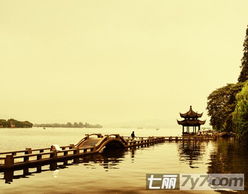 茅家埠：野鸭比游客多的地方