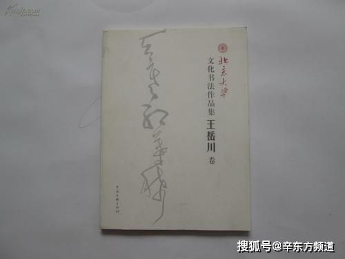 五、 常見誤區與坑爹提醒（噪音版）!!!