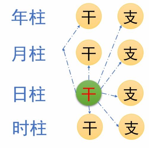 日主是个啥玩意