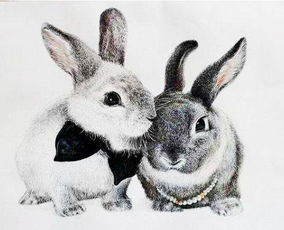 将日理万机打一生肖，这个生肖是哪个呢？