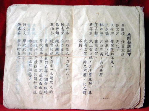 名字里的故事：寓意与风格