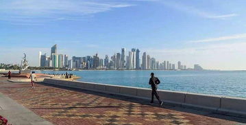 其他区域