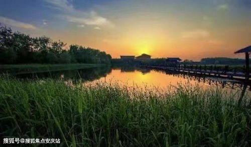 溱湖：湿地里的绿波