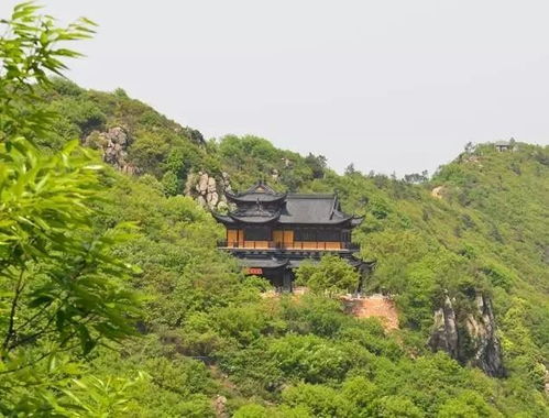 交通攻略：轻松抵达大阳山
