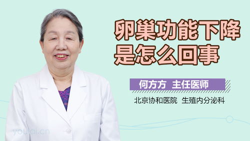 2.3 中药与食疗——天然力量的温柔拥抱