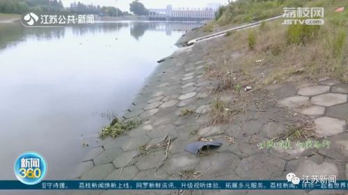 汲取泾阳之水， 孕育男孩英名