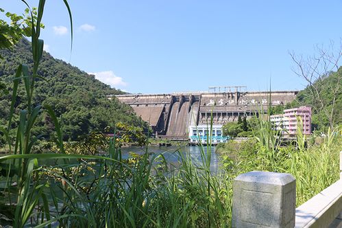 河源开车玩：一场灾难还是笑话？