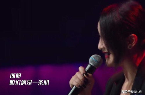 四、随手拼凑的一段文艺自白（真实的很烂）