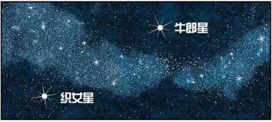 关于牛郎星的冷知识大爆料