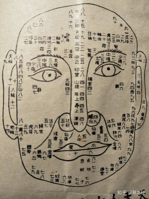 如何分析八字30年流年运势，绘制八字流年运势图解大全？