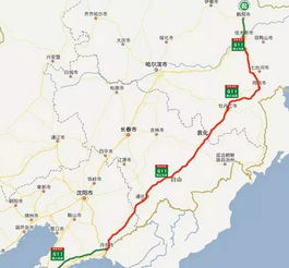 给叛逆自驾者的不靠谱建议（真·反套路）