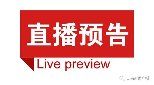 三、极度混乱的产品线——从“爬山能量棒”到“考古盲盒”，没有任何逻辑！