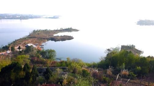 二、 沅江金竹路&白沙大道交叉口——赏花+闹市双料套餐