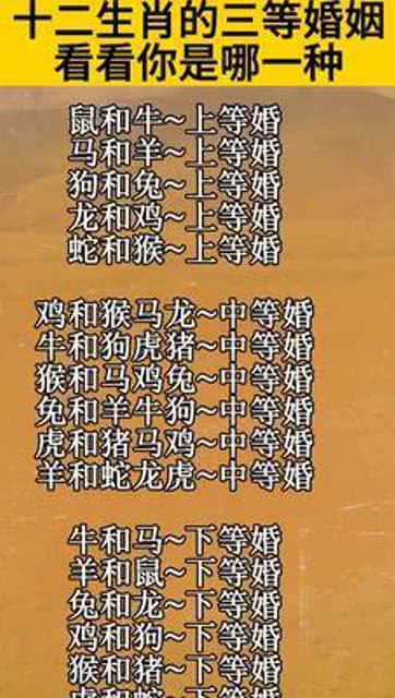 今天查询国学十二生肖运势，卜易版今日运势具体是什么意思？