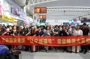 C. 如guo买不到专列，可依怎么替代？