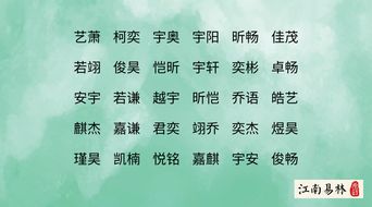 第一部分内容...