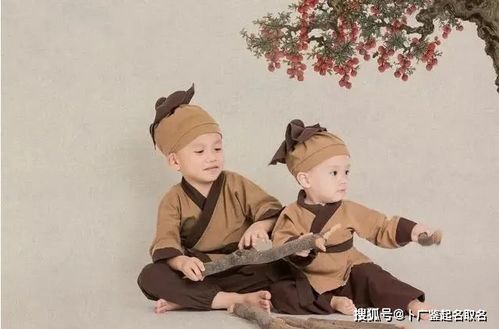 孟孙家男宝宝起名：古韵与英气并存，别搞乱了！