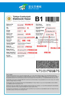 1.1 为什么“价格”总是个谜？