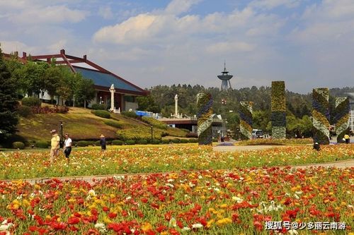 香格里拉：10月看秋景？人挤人！12月看雪景，  才是本地人的私藏