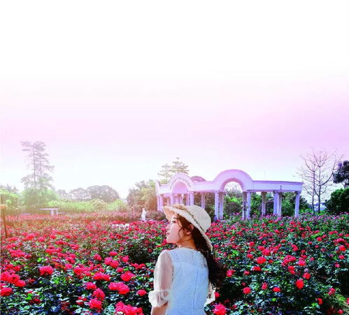 位置与交通：噩梦的开始