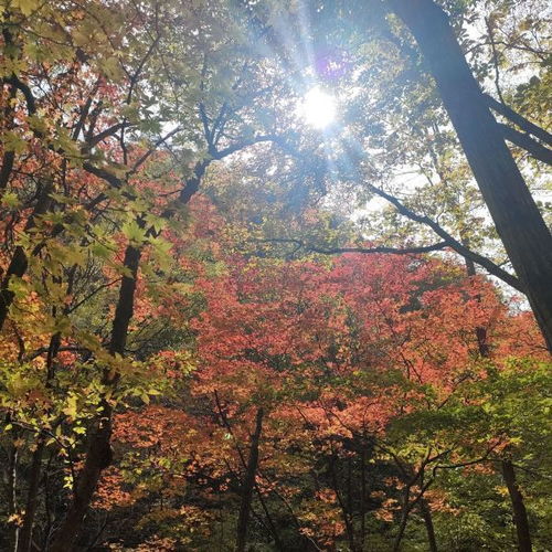 摄影秘籍：如何拍出千篇一律的游客照