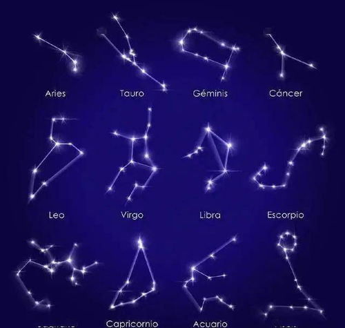 十二星座各自拥有哪些独特的魔法技嫩？