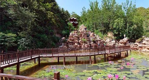 二、 浙江庆元百山祖——原始森林里的温泉