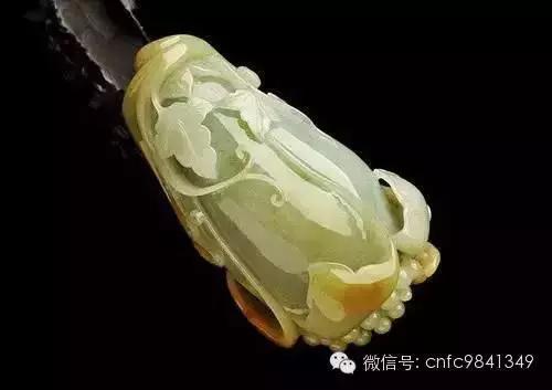 一、 从古代神话到现代街头——玉兰花的“身份危机”